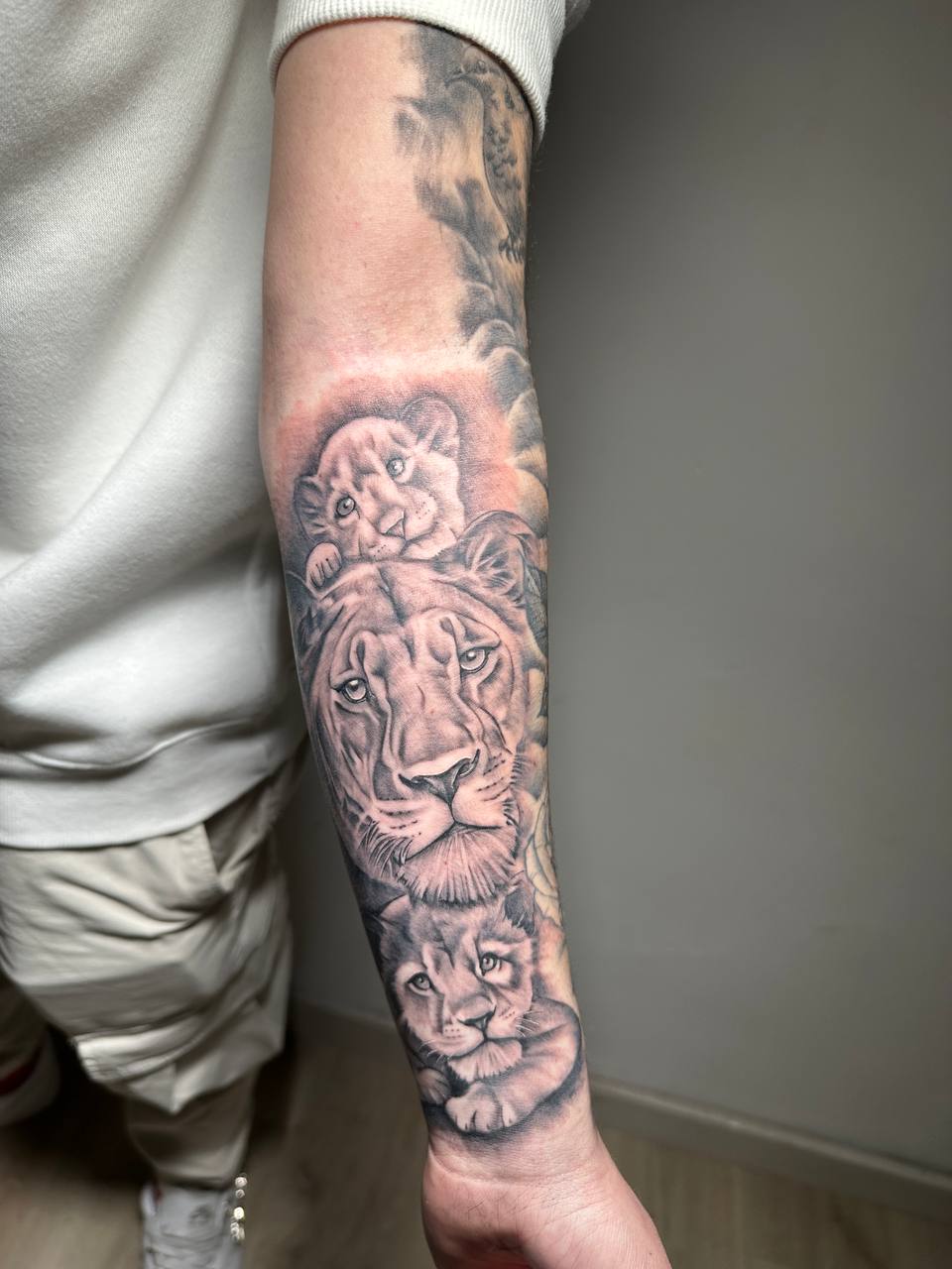 Leona con cachorros en el antebrazo